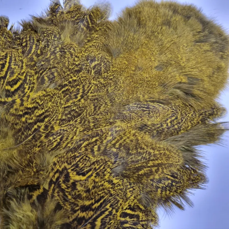 Whiting Coq de Leon Hen Soft Hackle with Chickabou in Speckled Yellow-10